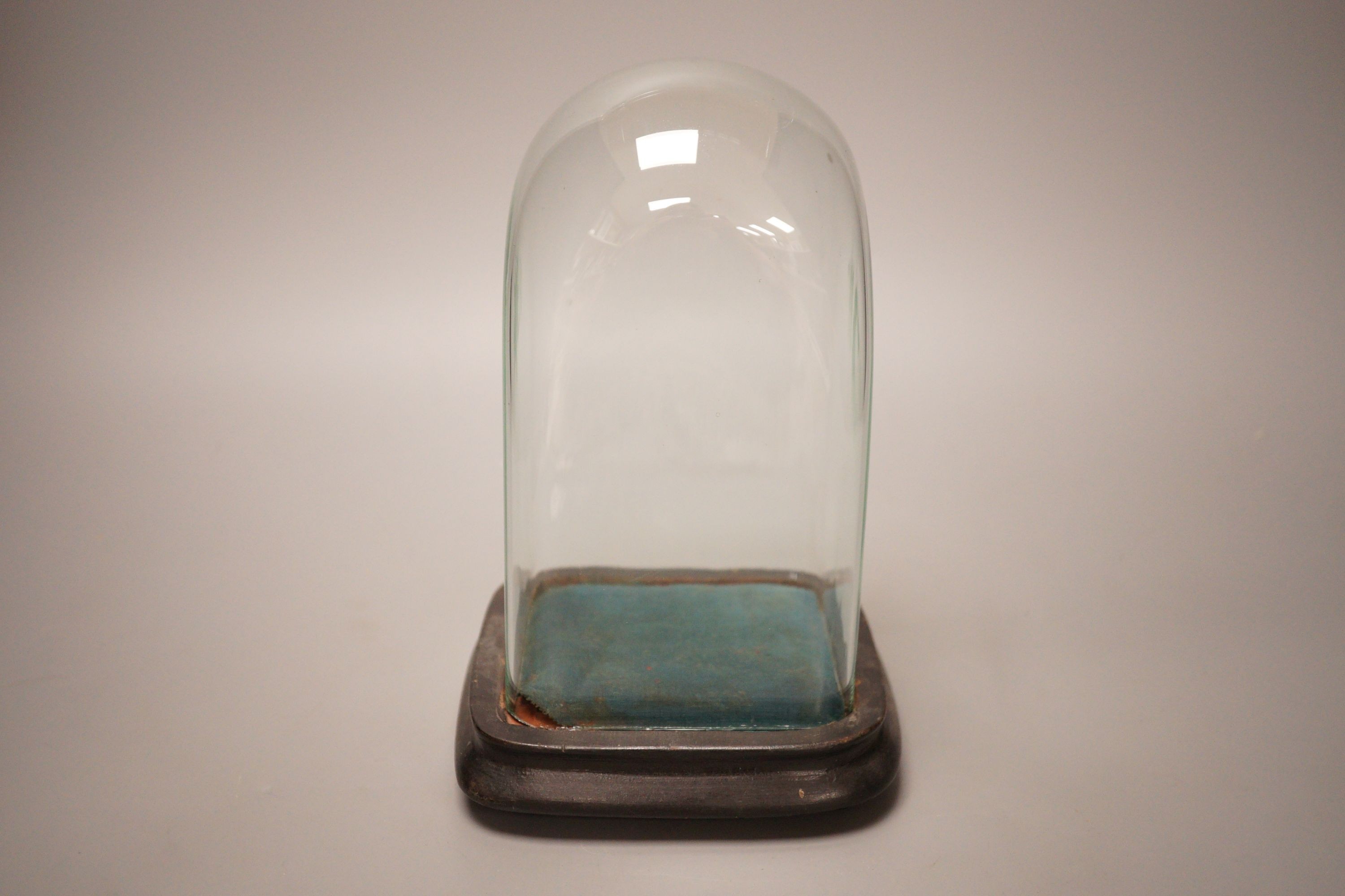 A 19th century glass dome and stand, 22cm